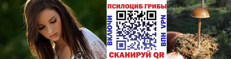 Галлюциногенные грибы Psilocybe  Купить где  Таруса 